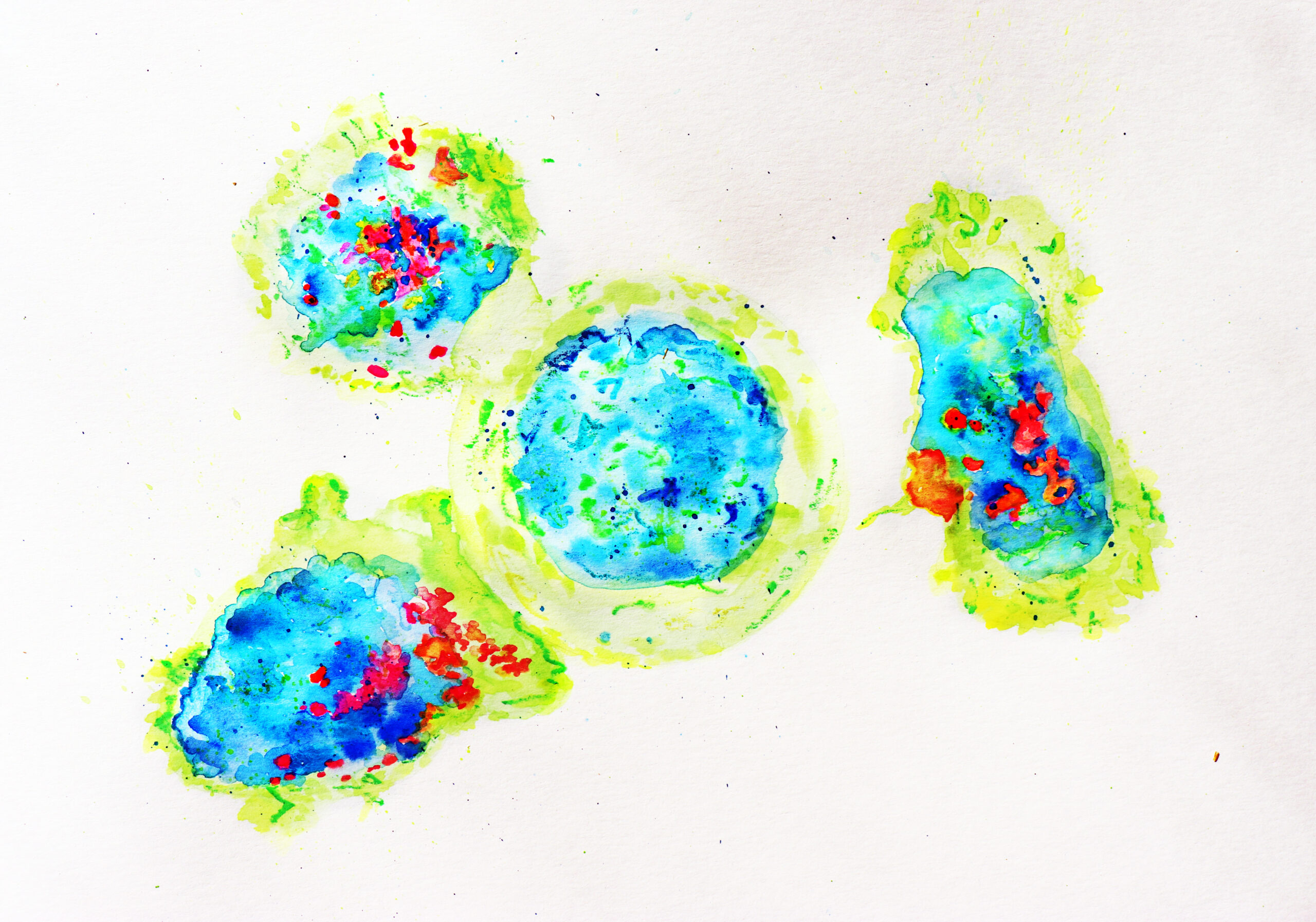 Tumor-reactive T cells and antigen-specific immune responses