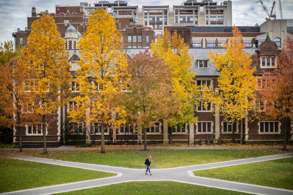 Campus quad at the University of Pennsylvania in autumn, brick dorms framed by yellow maples. Mohammad Haj Dezfulian UPenn Harvard